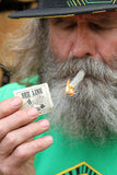 organic hemp wick online shop 