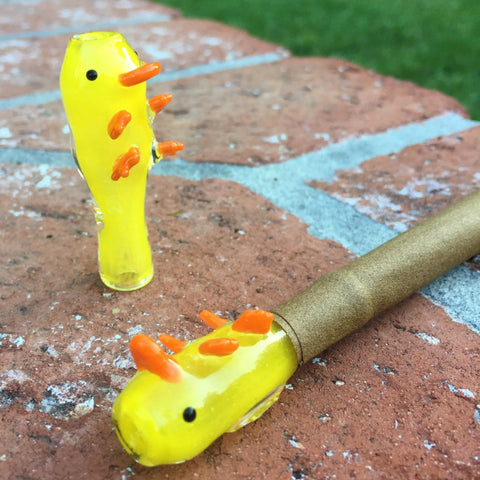 glass filter tip with heady platypus style by danktips joint and blunt filters